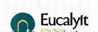 Eucalypt Flow company logo